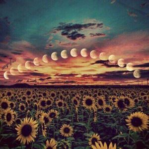 Meet your Posher, Valerie